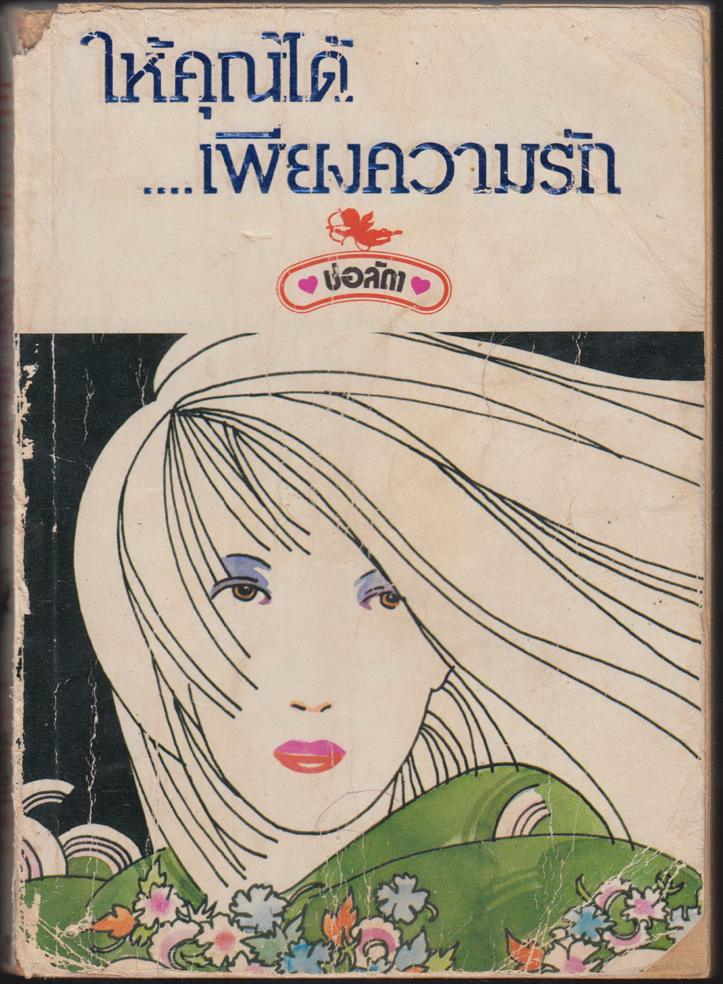 ให้คุณได้...เพียงความรัก