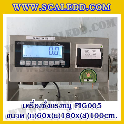 เครื่องชั่งหมูแบบกรงสแตนเลส built in printer ยี่ห้อ SDS รุ่น IDS701-PLCD พิกัด 500kg ความละเอียด 100g ขนาด 60x180x100cm.