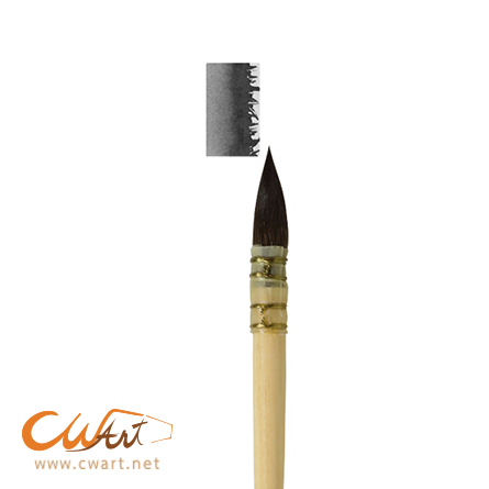 พู่กันมัดลวด Rembrandt series:135