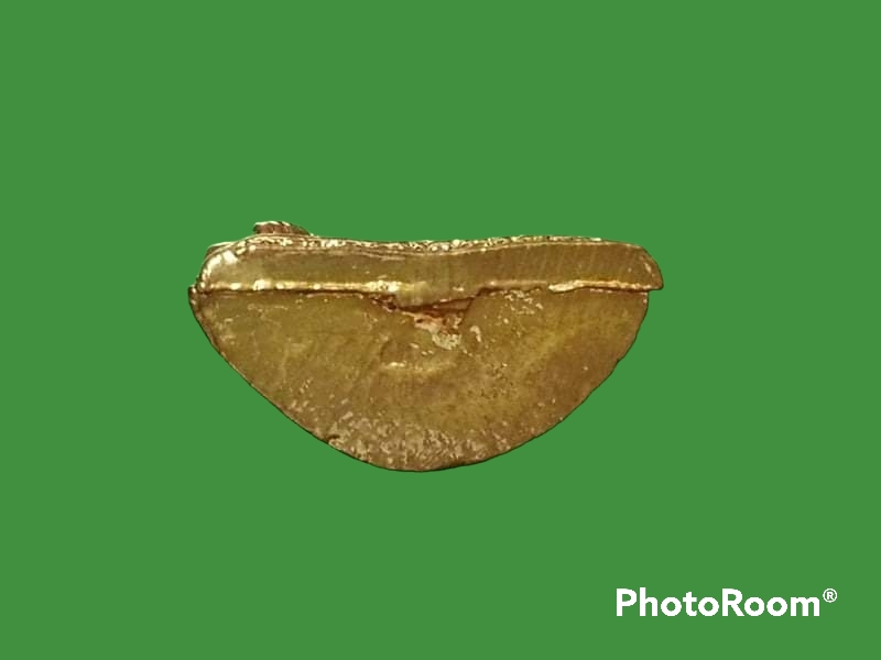 รูปเหมือน พระพุทธทันใจ วัดสันติประชาธรรม จ.ชัยภูมิ