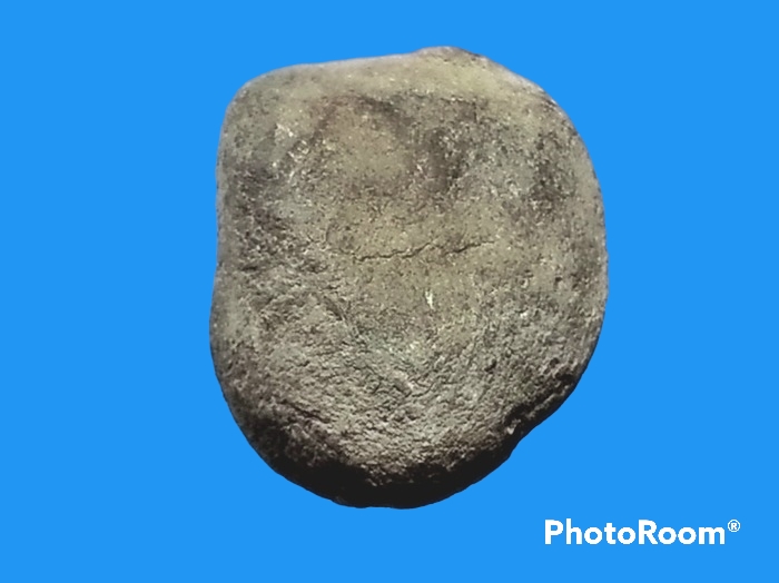 พระเม็ดบัว เจ้าคุณโพธิ์ วัดชัยพฤกษ์มาลา กรุงเทพมหานคร