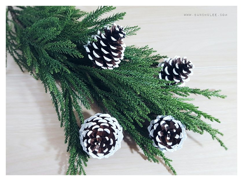 Snow Pine Cone ลูกสนธรรมชาติ สีน้ำตาลเข้ม แต้มขอบปีกด้วยสีขาว