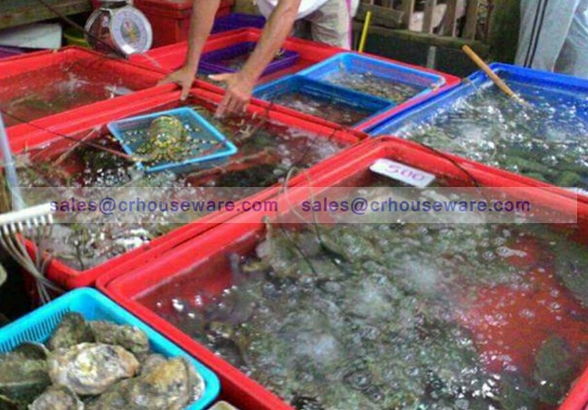 กะบะปลูกผัก กะบะใส่อาหารทะเล 005-K210,Pastic_Tray,ប្លាស្ទិច,ပလပ်စတစ် Tray ထဲမှာ