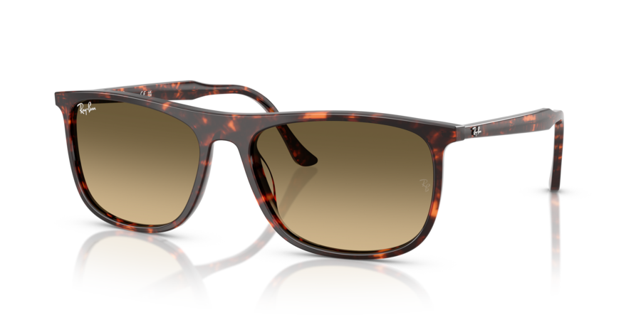 RayBan RB2216F 14290A