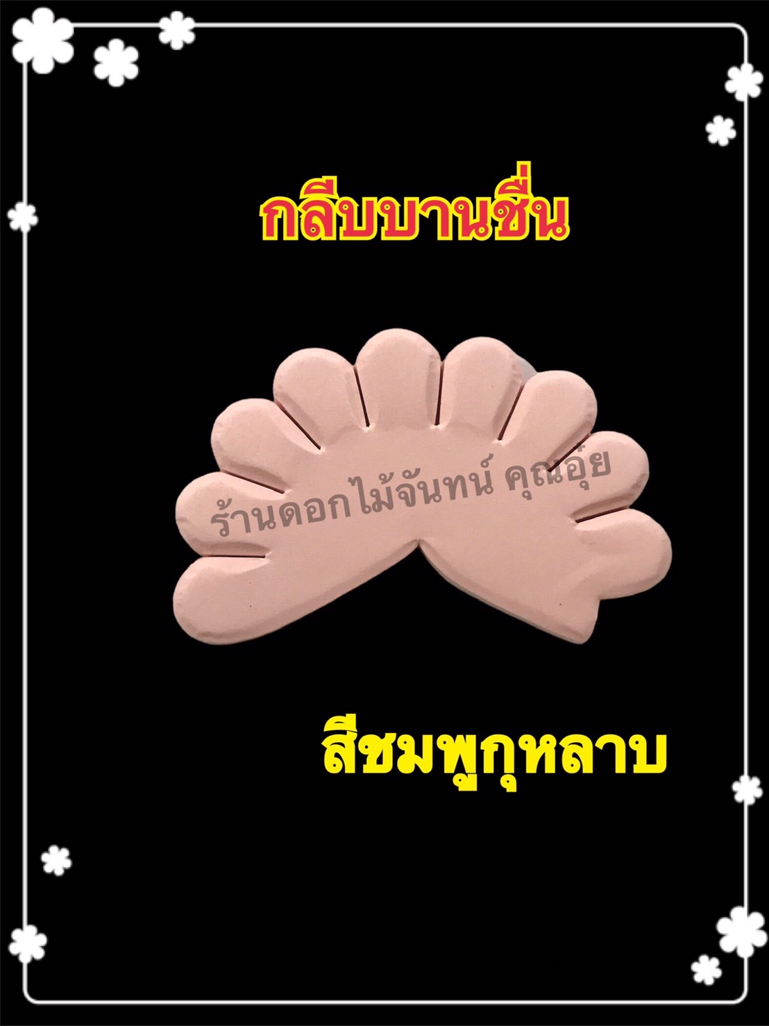 กลีบบานชื่น สีชมพูกุหลาบ