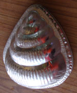 พิมพ์ใหญ่ -หอย 016-AL-16 Jelly Big-shellfish Mold. 016-AL-16