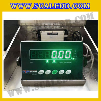 เครื่องชั่งวัวแบบกรง เครื่องชั่งวัว2000kg เครื่องชั่งสัตว์2ตัน เครื่องชั่งกรงสัตว์ เครื่องชั่งน้ำหนัก2000kg ตาชั่งวัว2ตัน ตาชั่งน้ำหนักวัว เครื่องชั่งวัวแบบดิจิตอล เครื่องชั่งยี่ห้อ Dynaweight รุ่น DW218