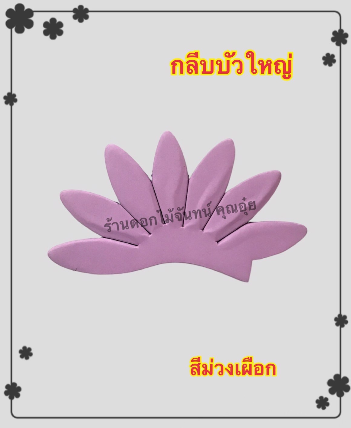 กลีบบัวใหญ่ สีม่วงเผือก