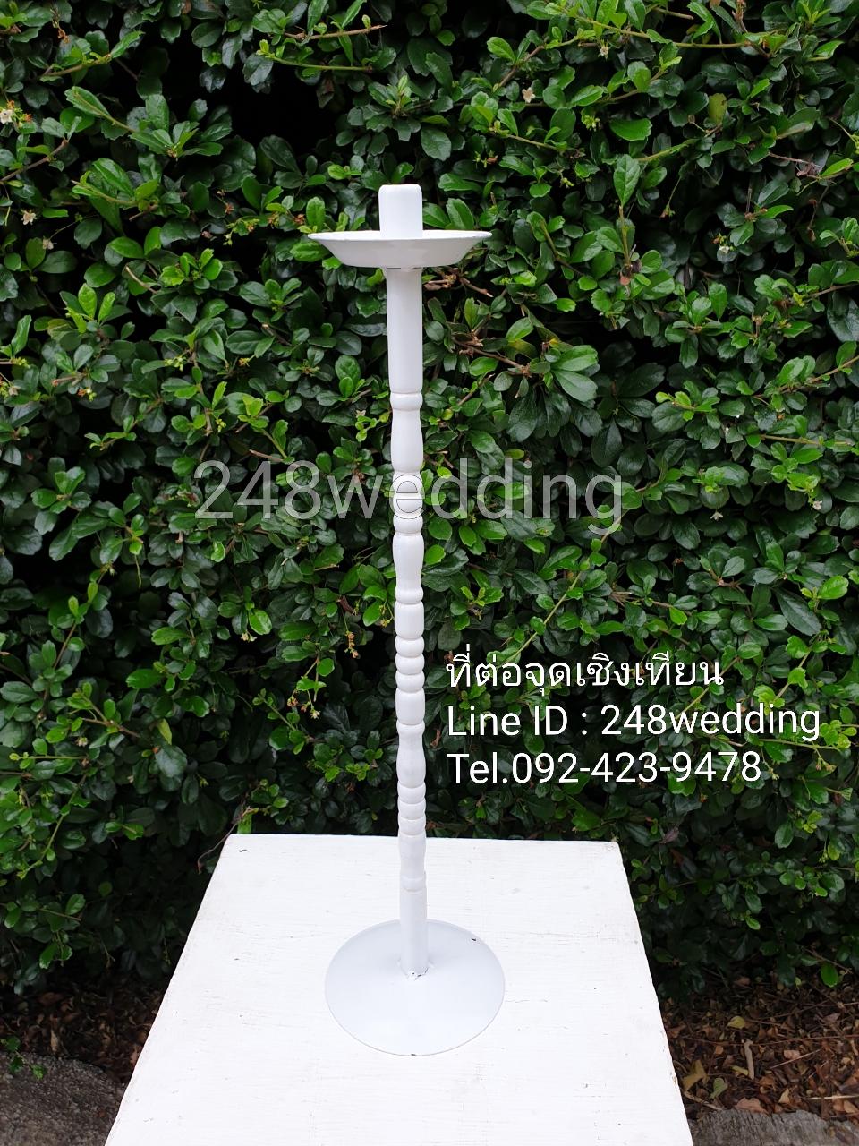 ขายเชิงเทียน (ขาเกลียว)