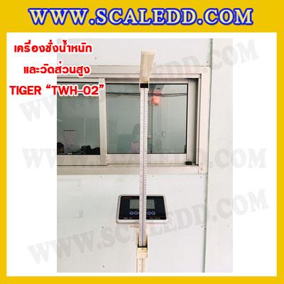 เครื่องชั่งน้ำหนักวัดส่วนสูงพร้อมค่า BMI เครื่องชั่งน้ำหนักคน เครื่องชั่งพร้อมวัดส่วนสูง200kg เครื่องชั่งน้ำหนักคน200kg พิกัดน้ำหนัก 200kg ค่าละเอียด 50g ยี่ห้อ TIGER รุ่น TWH-02