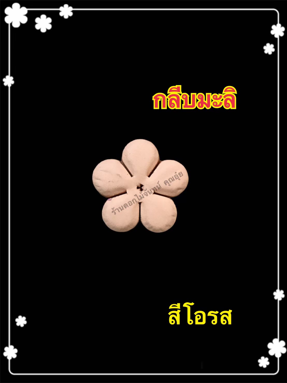 กลีบมะลิ สีโอรส