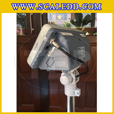 เครื่องชั่งน้ำหนักดิจิตอล พิกัด30kg ความละเอียด2g ขนาดแท่นชั่ง30*40cm ยี่ห้อ TSCALE รุ่น BW-EA3040-30 (เครื่องชั่งผ่านตรวจรับรองจากสำนักชั่งตวงวัด)