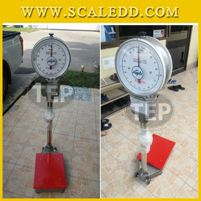 เครื่องชั่งแบบเข็ม100กิโลกรัม ตาชั่งเข็ม100กิโล เครื่องชั่งหน้าปัด 2 หน้า เครื่องชั่งแบบมีล้อ เครื่องชั่งสปริง100kg ละเอียด200g ยี่ห้อ NAGATA รุ่น K-type (เครื่องชั่งผ่านตรวจรับรองจากสำนักชั่งตวงวัด)