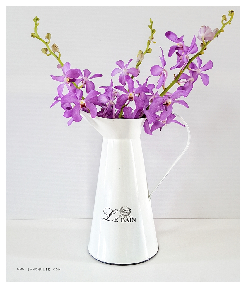 Shabby Chic Enamel Vase แจกันอีนาเมล สีขาว ทรงเหยือก