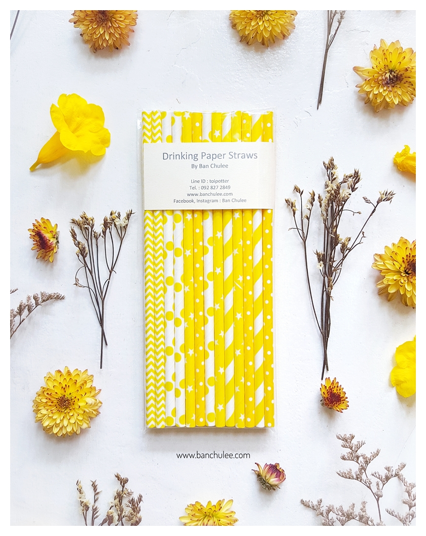 Collection Paper Straws หลอดกระดาษ ใช้สำหรับดื่มน้ำ