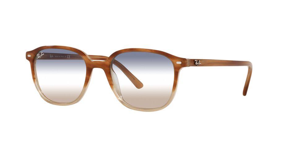 RayBan RB2193F 1328GD LEONARD