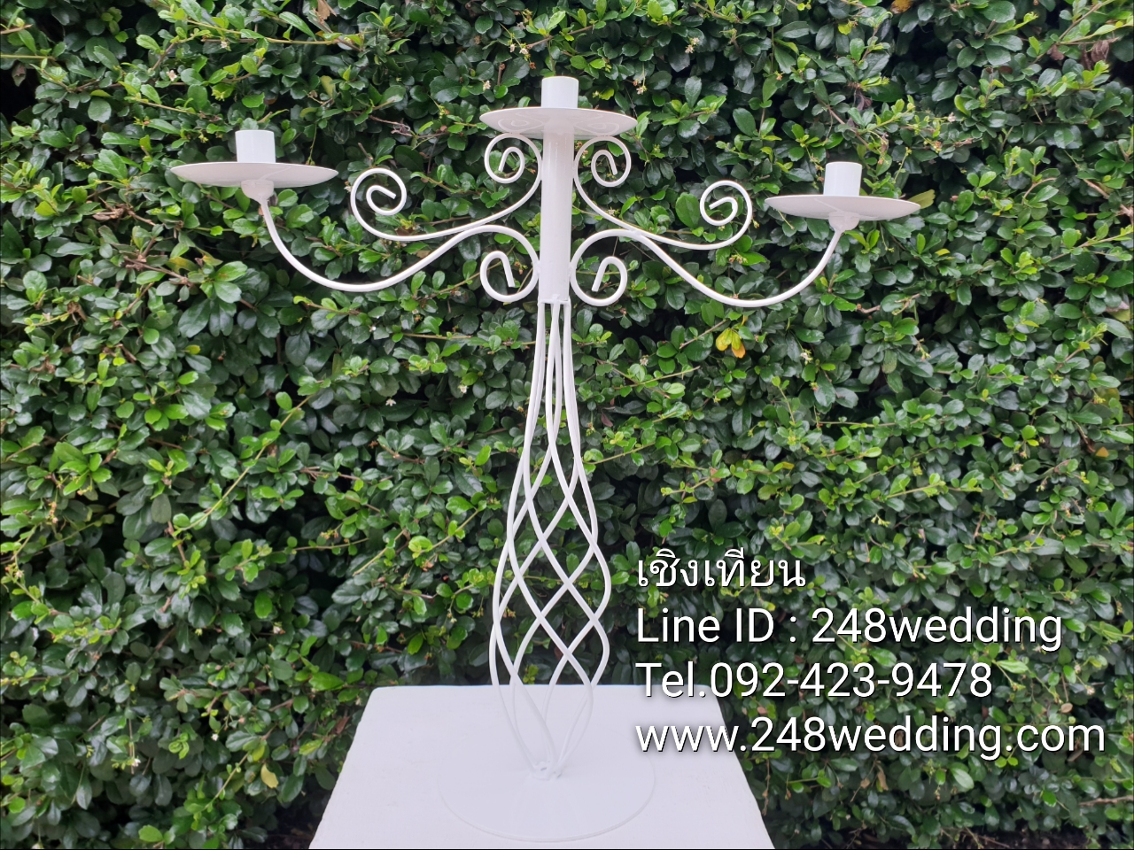 ขายเชิงเทียน (ขาเกลียว)