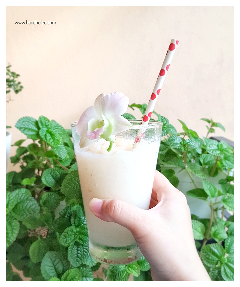 Single Pattern Paper Straws หลอดกระดาษ ใช้สำหรับดื่มน้ำ
