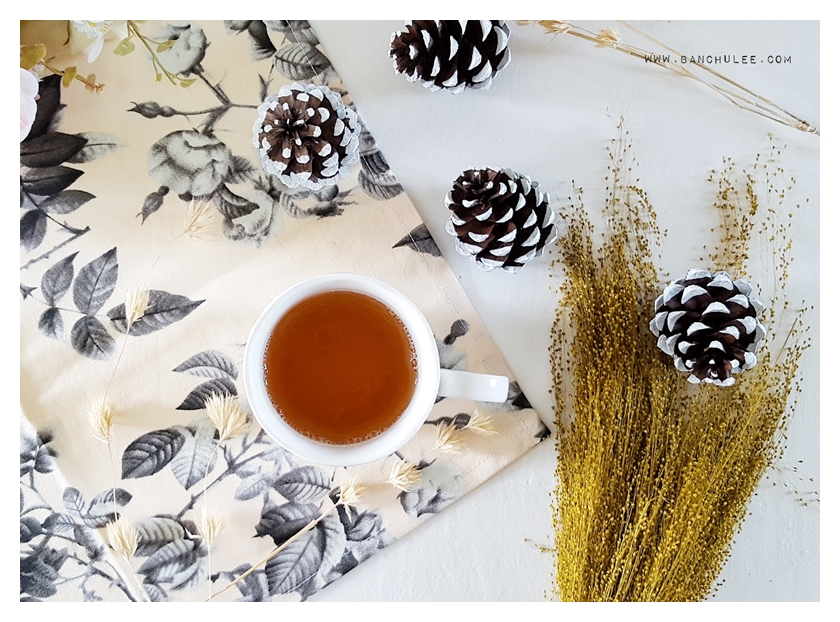 Snow Pine Cone ลูกสนธรรมชาติ สีน้ำตาลเข้ม แต้มขอบปีกด้วยสีขาว