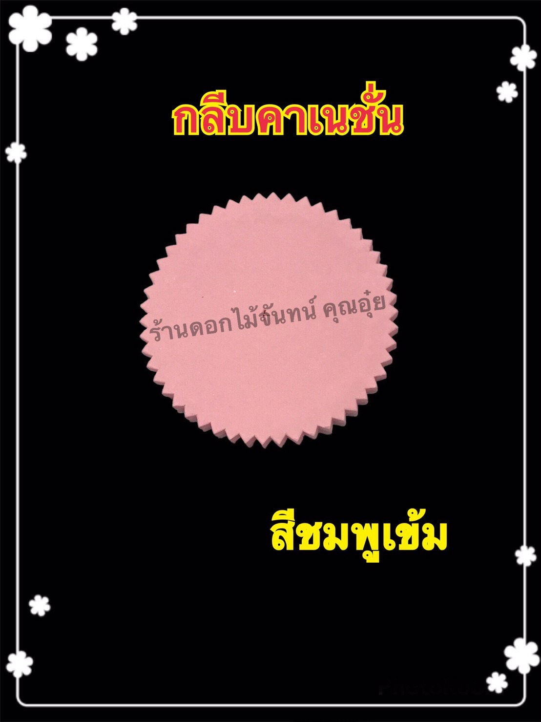 กลีบคาร์เนชั่น สีชมพูเข้ม