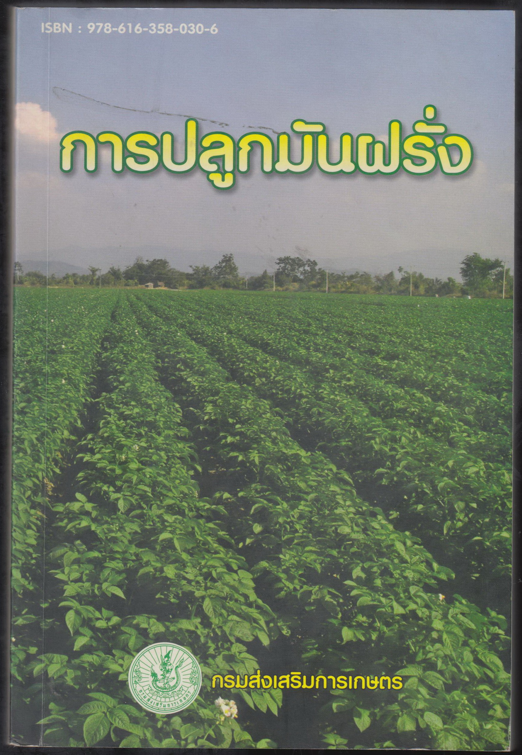 การปลูกมันฝรั่ง