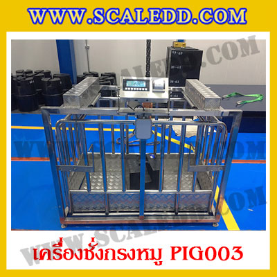 เครื่องชั่งหมูแบบกรงสแตนเลส built in printer ยี่ห้อ SDS รุ่น IDS701-PLCD พิกัด 300kg ความละเอียด 100g