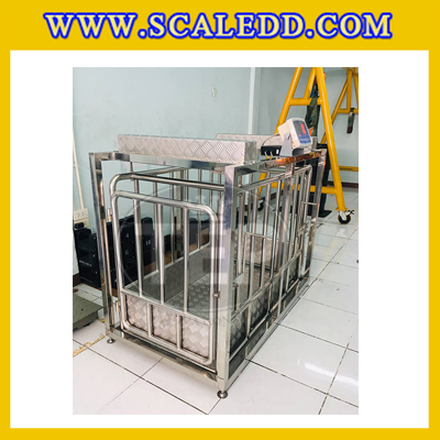 เครื่องชั่งหมูแบบมีกรง เครื่องชั่งน้ำหนักหมู กรงชั่งหมูสแตนเลส เครื่องชั่งกรงสัตว์ ชั่งน้ำหนักได้ 200 kg ค่าละเอียด 100g Pig Scales