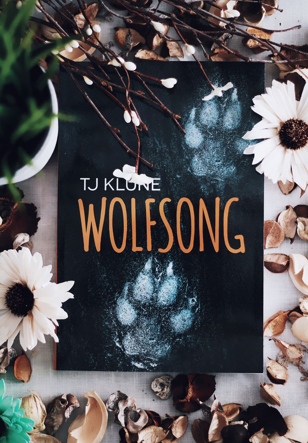 Wolfsong By T.J. Klune มัดจำ 500 ค่าเช่า 100b.