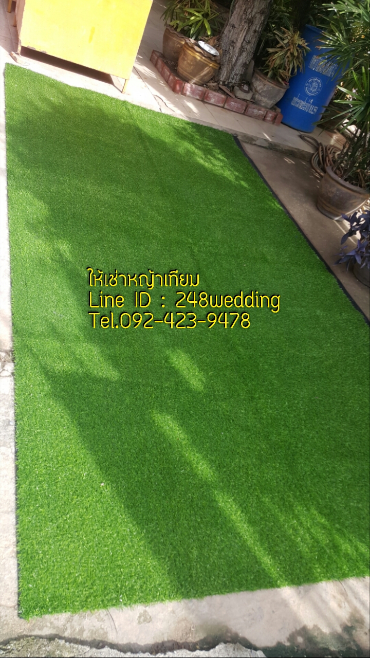 หญ้าเทียมให้เช่า