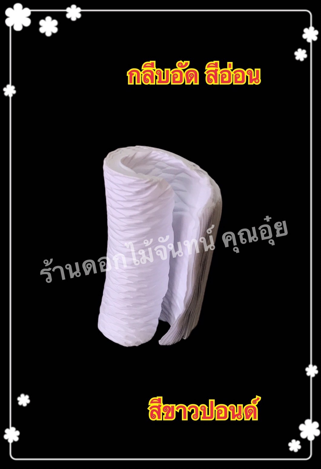 กลีบอัดดอกไม้จันทน์ สีขาวปอนด์