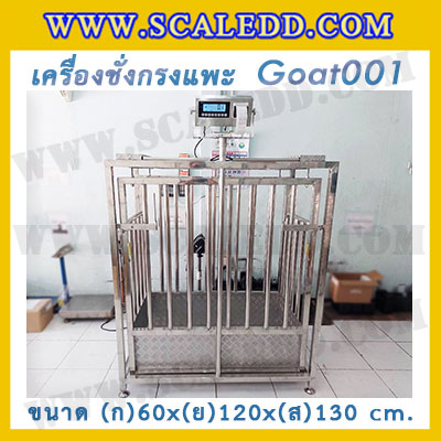 เครื่องชั่งแพะแบบกรงสแตนเลส built in printer ยี่ห้อ SDS รุ่น IDS701-PLCD พิกัด 200kg ความละเอียด 100g ขนาด 60x120x130cm.