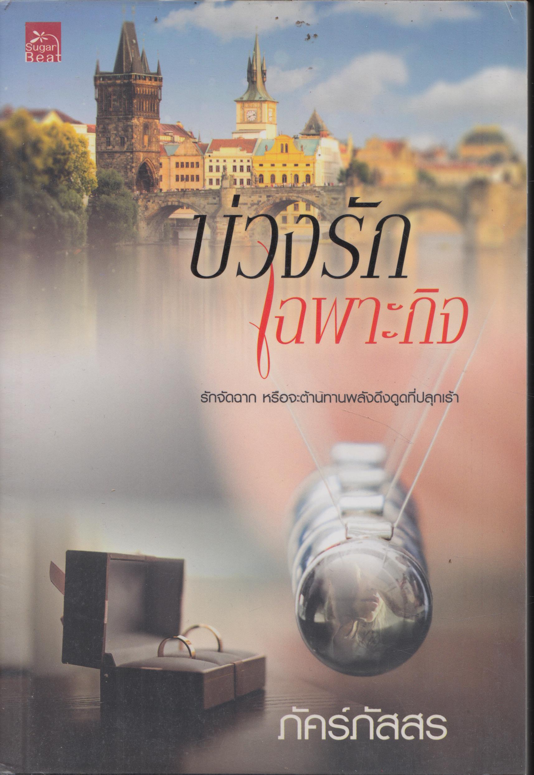 บ่วงรักเฉพราะกิจ เล่มเดียวจบ