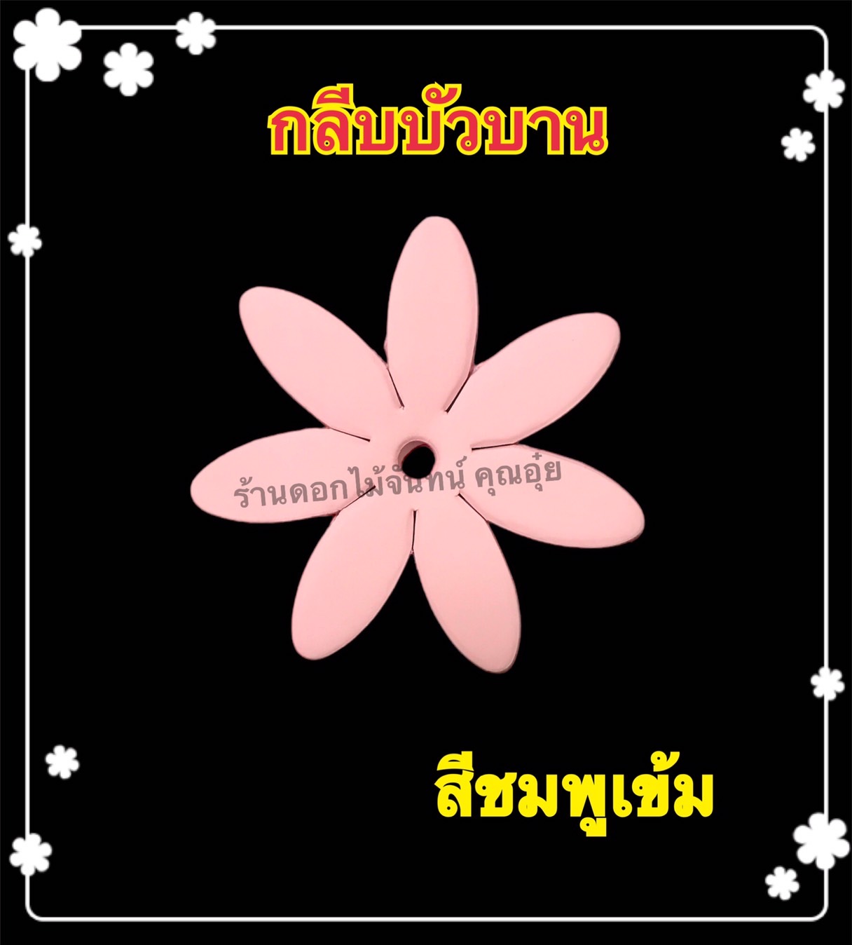 กลีบบัวบาน สีชมพูเข้ม