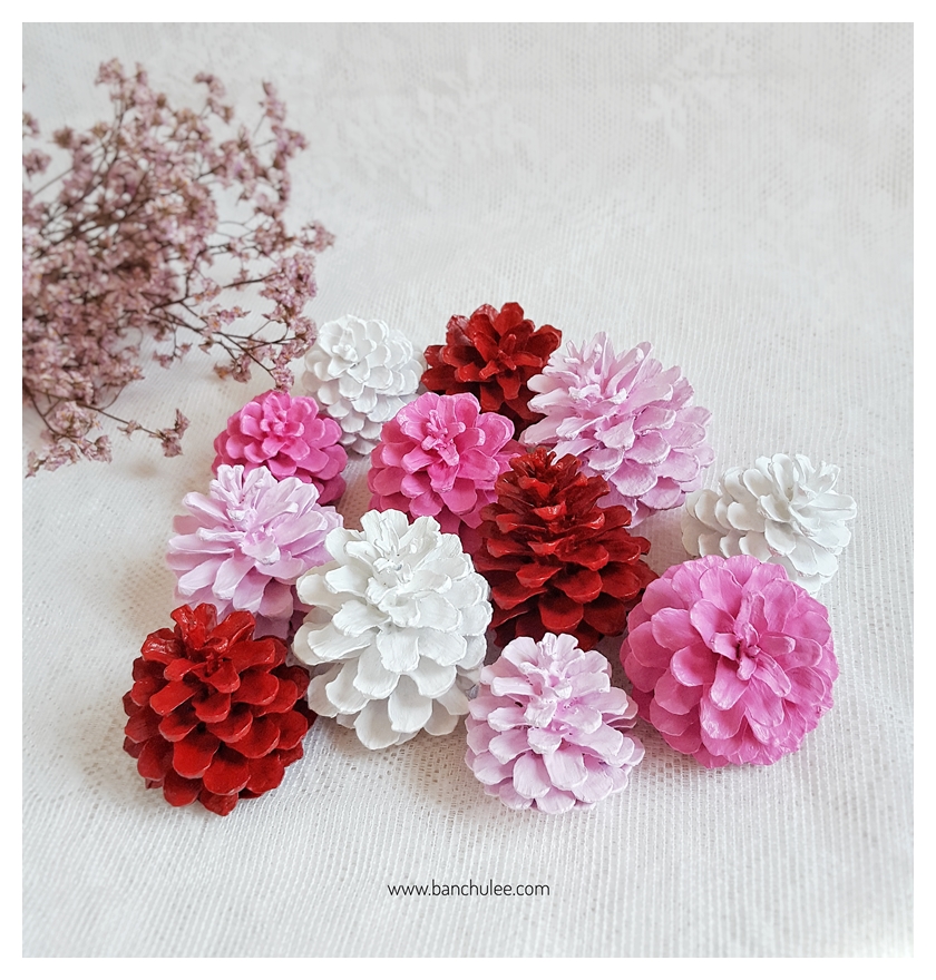 Painted Pine Cone ลูกสนธรรมชาติ ทาสีอะครีลิคสำหรับงานไม้