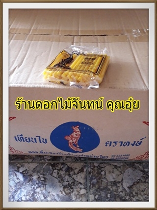 เทียนหัวตัดยกลัง
