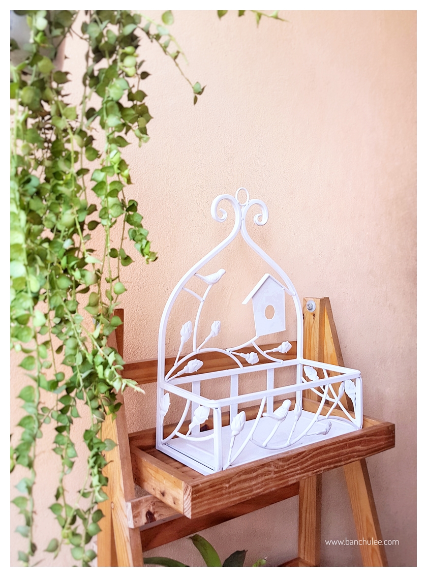 Shabby Chic Metal Shelf ชั้นวางของ โลหะ สีขาว