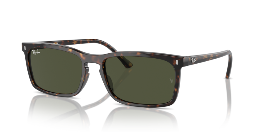 RayBan RB4435 902/31