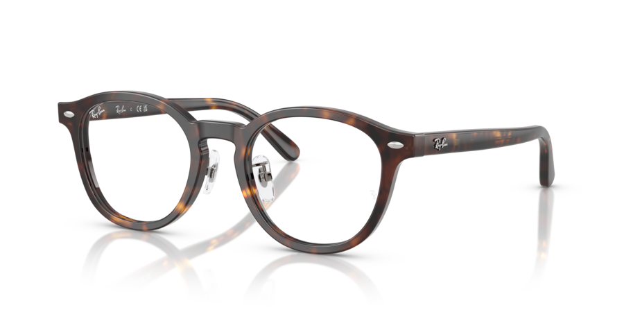 RayBan RX5443D 2012
