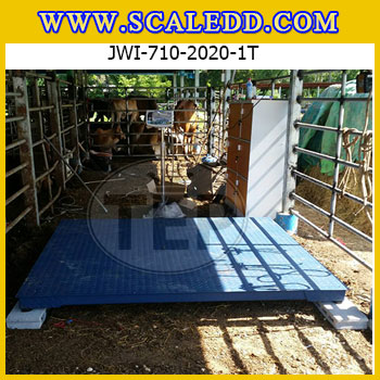 เครื่องชั่งดิจิตอล1000kg เครื่องชั่งดิจิตอล1ตัน พิกัดน้ำหนัก 1000kg ค่าละเอียด 100g ขนาดแท่น 200x200cm. ยี่ห้อ JADEVER รุ่น JWI-710