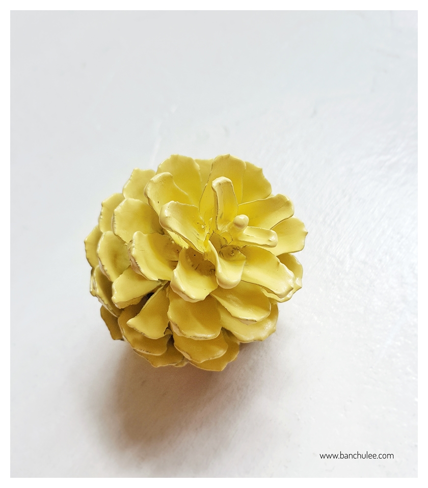 Colorful Pine Cone ลูกสนธรรมชาติ พ่นสี