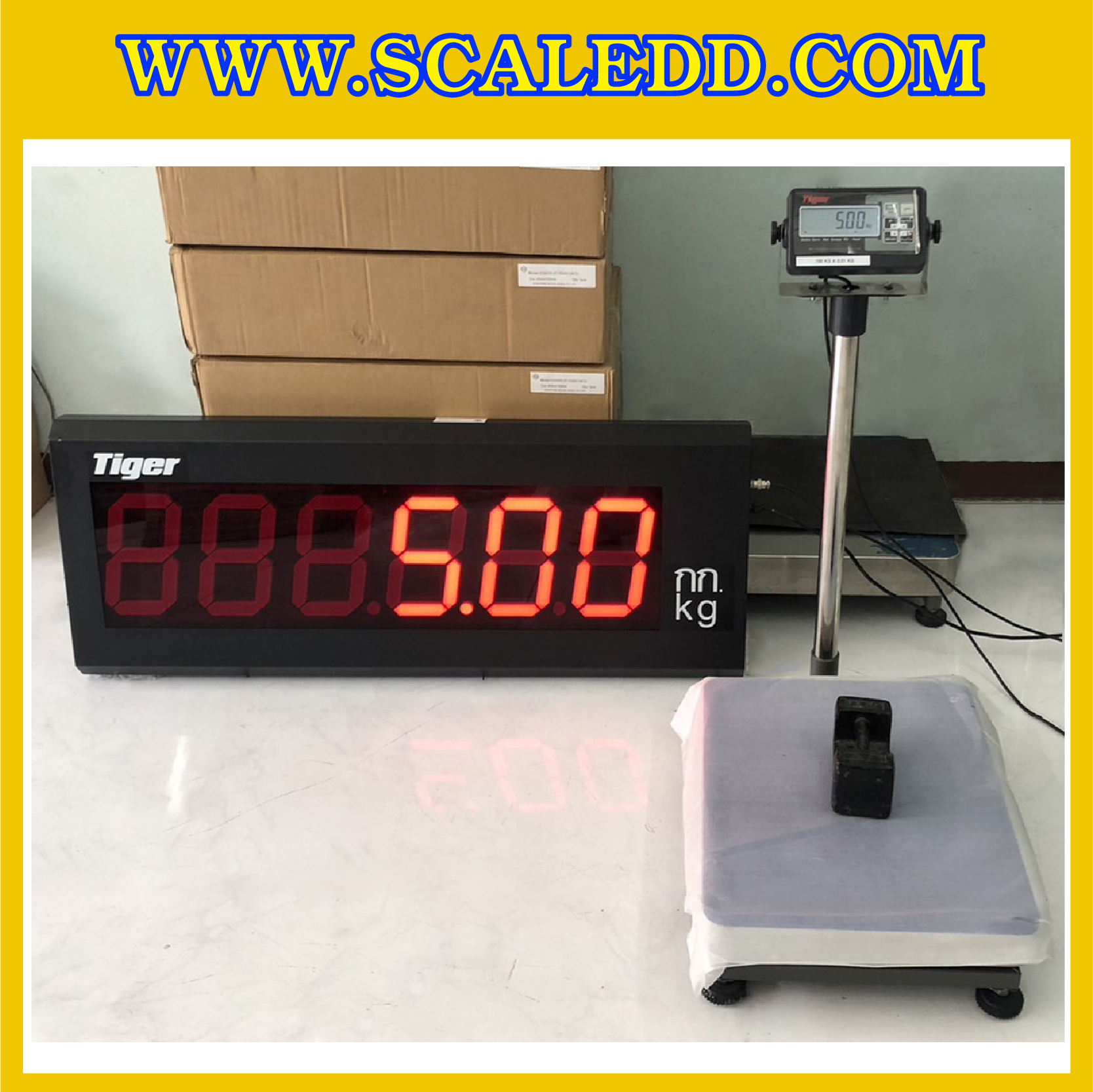 เครื่องชั่งบ่อตกปลา 150 กิโลกรัม พร้อมจอ REMOTE LED DISPLAY ( ตัวเลขสีแดงสูง 5 นิ้ว) เครื่องชั่งแบบตั้งพื้น150Kg ความละเอียด 10g แท่นชั่งขนาด 40x50 cm. ยี่ห้อ TIGER รุ่น TI-02 เครื่องชั่งบ่อปลา เครื่องชั่งบ่อกุ้ง