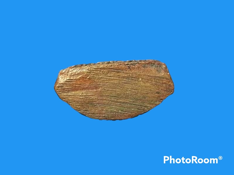 รูปเหมือน หลวงพ่อหงษ์ วัดชลคราม จ.สุราษฏร์ธานี