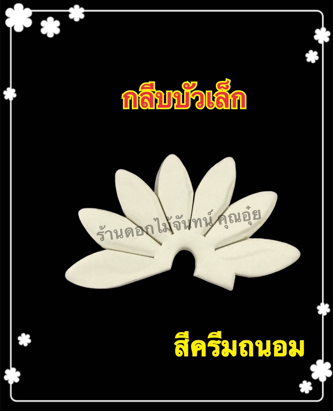 กลีบบัวเล็ก สีครีมถนอม