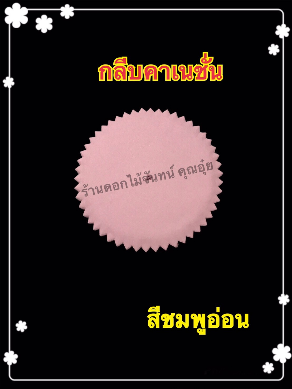 กลีบคาร์เนชั่น สีชมพูอ่อน