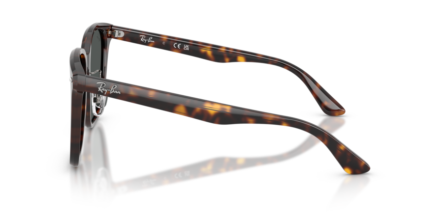 RayBan RB2206D 710/87