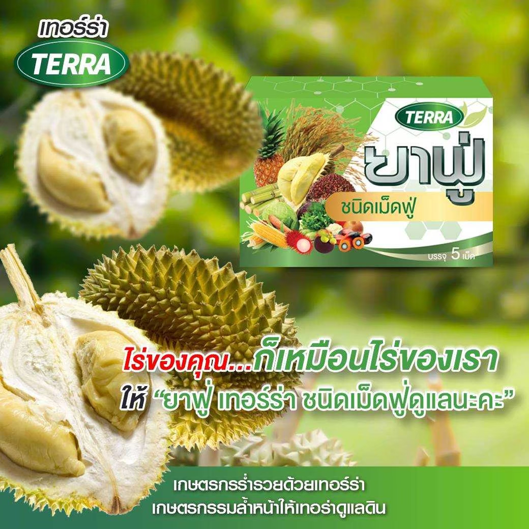 เทอร์ร่า ยาฟู่