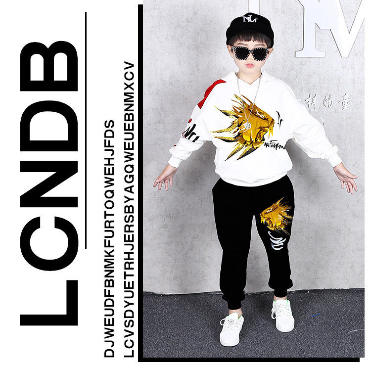 ชุดเต้น ชุดฮิปฮอปแขนยาว ลายสิงห์