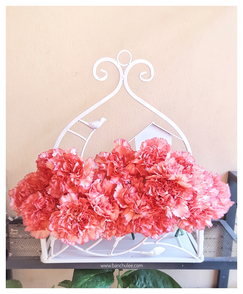 Shabby Chic Metal Shelf ชั้นวางของ โลหะ สีขาว