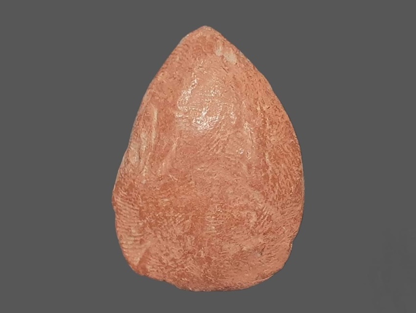 พระกลีบบัว ลีลา เปลวเพลิง หลวงพ่ออ่ำ วัดชีปะขาว สุพรรณบุรี