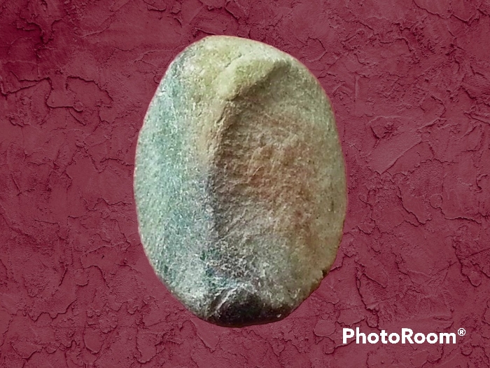 พระเม็ดบัว เจ้าคุณโพธิ์ วัดชัยพฤกษ์มาลา กรุงเทพมหานคร